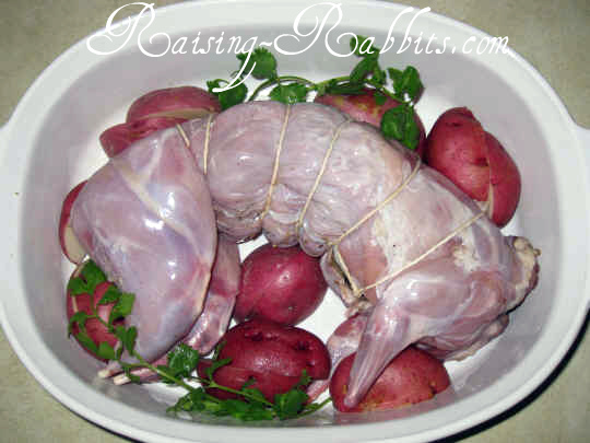 Stuffed Rabbit Recipe