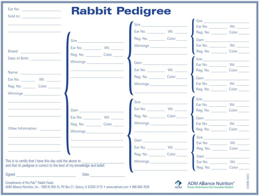 Rabbit Score Chart