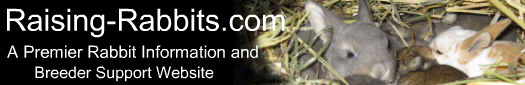 Raising-Rabbits.com - An A-to-Z rabbit information and breeder (and RAW feeder) support website