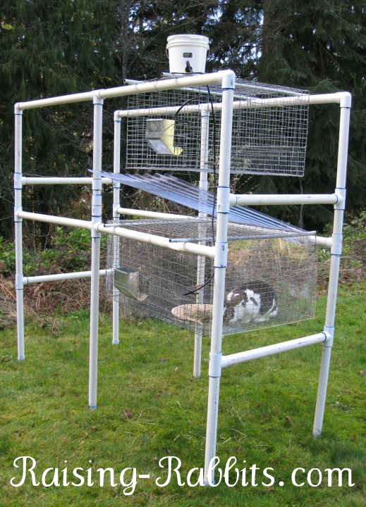 Build a Outdoor Rabbit Hutch