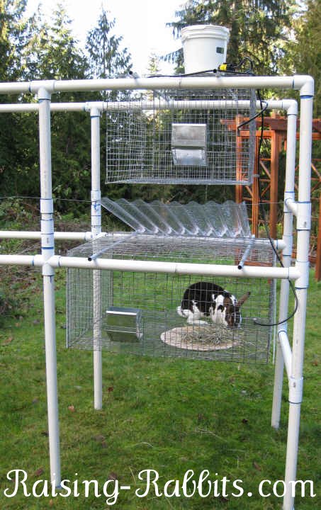 Homemade Rabbit Cages