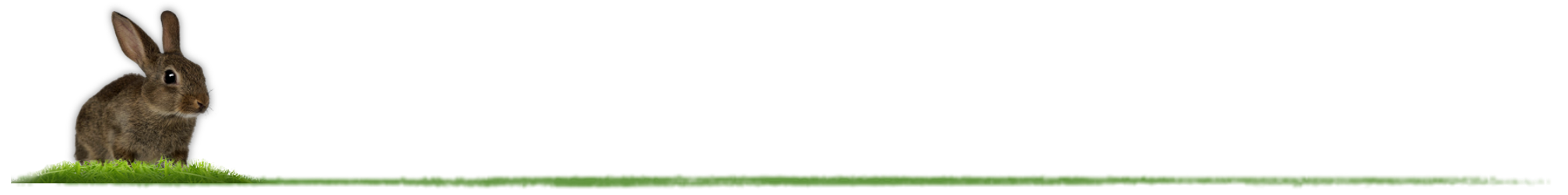 121453868_971228013363215_7255727263571857458_n.png - dk brown rabbit L divider 121453868_971228013363215_7255727263571857458_n.png - dk brown rabbit L divider
