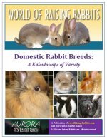 Domestic Rabbit Breeds Cover Thumbnail med
