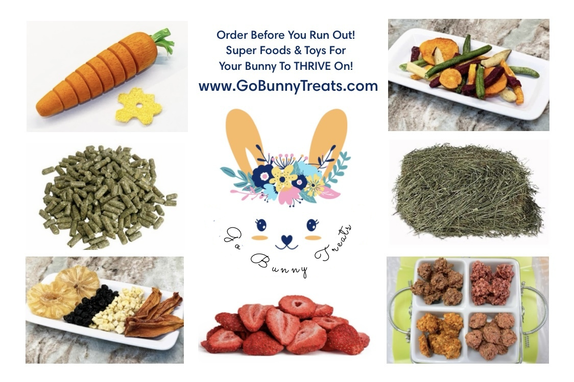 go-bunny-treats-98-business-card