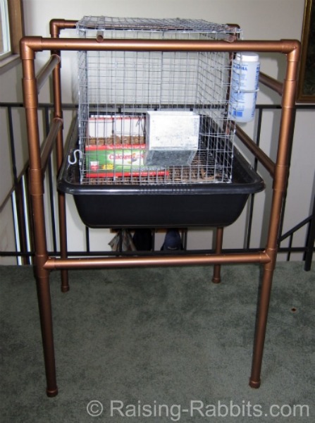 luxury indoor rabbit cage