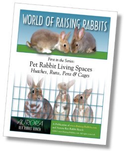 Pet Rabbit Living Spaces E-Book