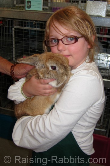 Fawn Holland Lop 4H Exhibit in Clallam County