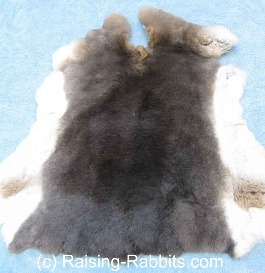 Rabbit Pelts. How to tan rabbit fur, resources, directions, ideas