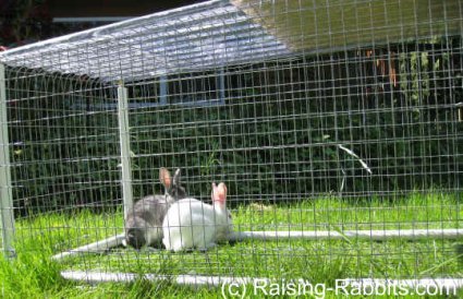 Rabbit's Eye View of Rabbit Run