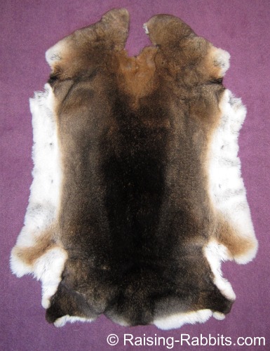 Home raised,pelt tanned by me. Rabbit skin M6 Pastel brown bunny fur