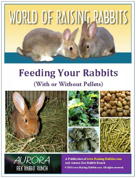 Complete feedingstuffs for rabbits Dwarf throls Rabbit Nano 2,5 kg feed rabbit 