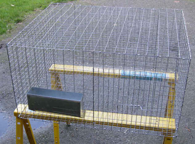 meat rabbit cages for sale