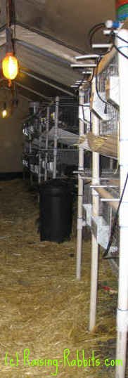 Aurora Rex Rabbit Barn - partial view