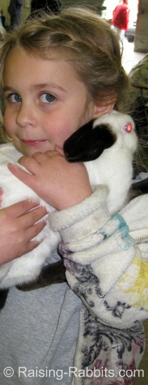 B-Locus Rabbit Colors - Black Himalayan rabbit with friend B-Locus Rabbit Colors - Black Himalayan rabbit with friend