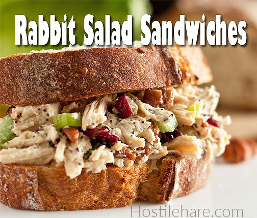 Hostile-Hare-04-recipe-rabbit-salad-sandwich Hostile-Hare-04-recipe-rabbit-salad-sandwich