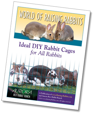 Ideal DIY Rabbit Cages for All Rabbits, by Raising-Rabbits.com