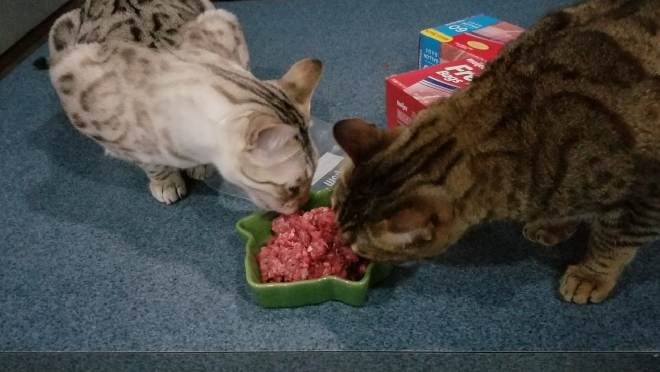 Moses-and-Zaccheaus-enyedy-sharing-dinner Moses-and-Zaccheaus-enyedy-sharing-dinner