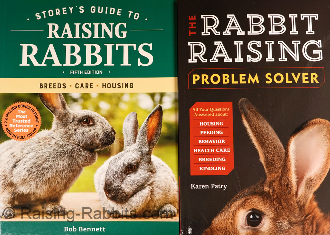 RRPS-SGRR6186a-20211029.jpg RRPS-SGRR6186a-20211029.jpg