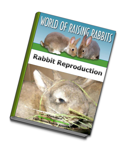 ebook Rabbit Reproduction ebook Rabbit Reproduction