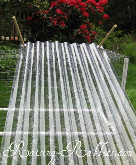 Rabbit Run Roof with Dowels attached