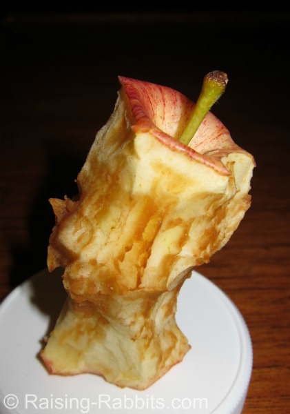Rusting Apple Core on table illustrates what happens to old rabbit feed. Rusting Apple Core on table illustrates what happens to old rabbit feed.