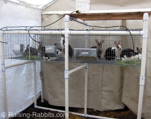 hanging wire rabbit cages