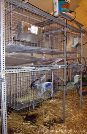 hanging wire rabbit cages