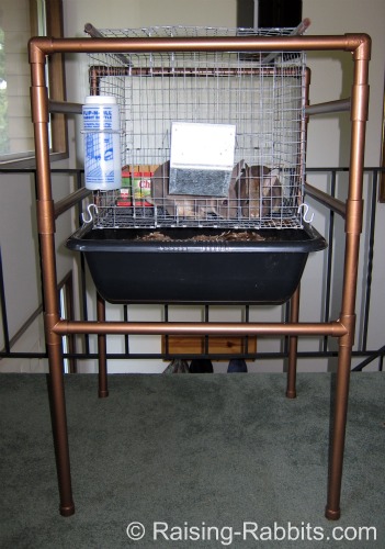 Indoor Rabbit Cage Set Up