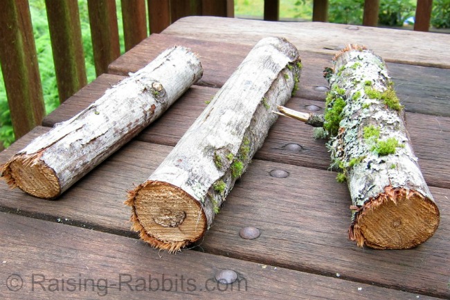 Branches for rabbits to chew