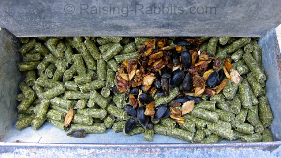 1 tablespoon of Bunny Branola sits atop the rabbit's rations for the day in this 5.5-inch J-feeder