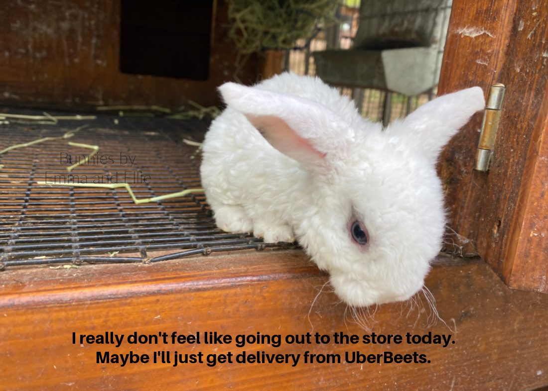 bunnies-by-emma-and-ellie-116-mini-plush-lop-BEW-meme bunnies-by-emma-and-ellie-116-mini-plush-lop-BEW-meme