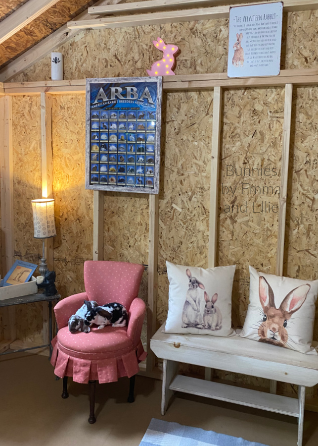 bunnies-by-emma-and-ellie-57-velveteen-lops bunnies-by-emma-and-ellie-57-velveteen-lops