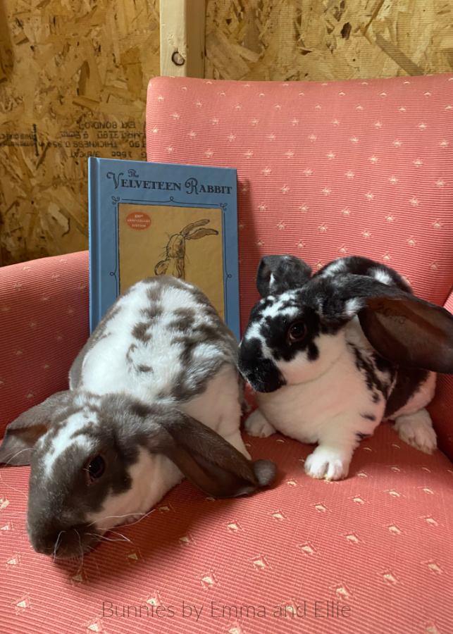 bunnies-by-emma-and-ellie-59-velveteen-lops bunnies-by-emma-and-ellie-59-velveteen-lops