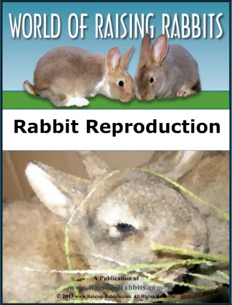 Rabbit Reproduction, a World of Raising Rabbits e-book