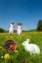 Rabbit and Easter Egg Hunt