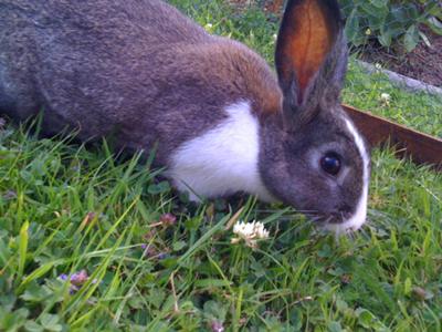 The pregnant mother - Georgia