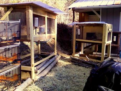 Small, but getting there. 