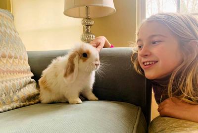 Lily and Bunny (Pic added to post by Raising-Rabbits)