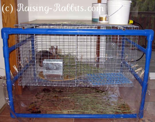 hanging wire rabbit cages