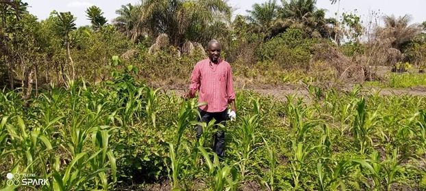 Mr. James Juwle grows rabbit forages in Liberia. Mr. James Juwle grows rabbit forages in Liberia.