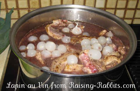 Rabbit in Wine Recipe cooking on the stovetop