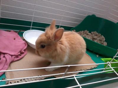 This pic was taken the day I got her