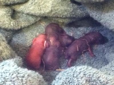 Just after I found them