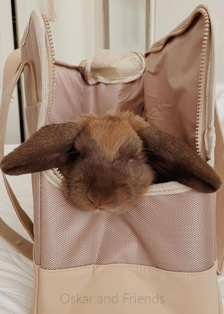 oskar-02-pet-tote-tan oskar-02-pet-tote-tan