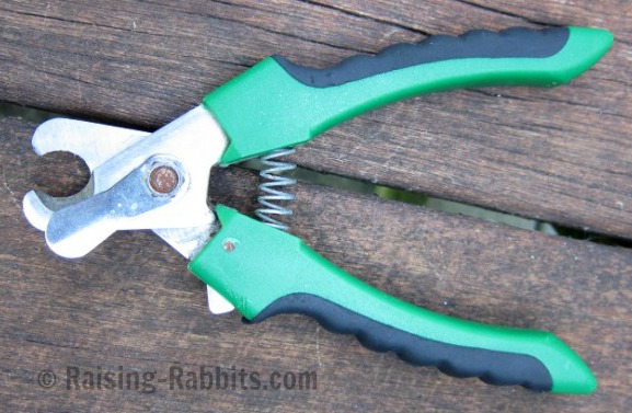 Pet nail clippers used for trimming rabbit claws