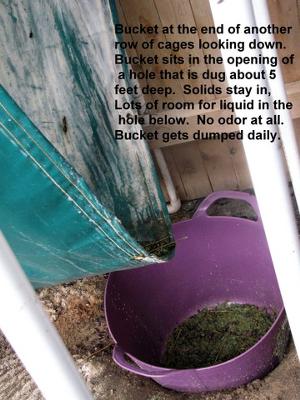 Manure and liquids drain into the bucket, which gets emptied daily