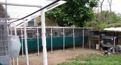 meat rabbit supplies