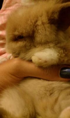 This is her...my Pumpkin