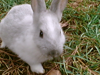 hey whats up? this is awsome!!!