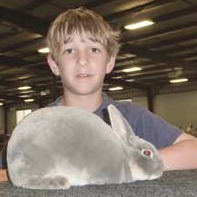 Texas 4H rabbit breeder

and his opal mini-rex show rabbit